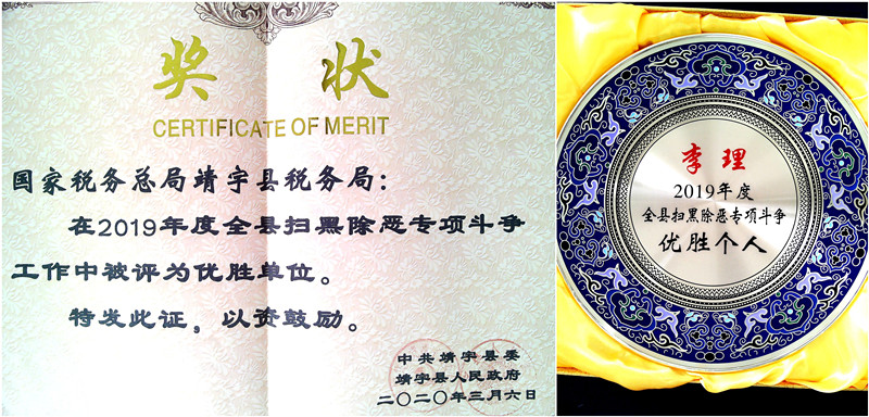 20200327靖宇县税务局扫黑除恶专项斗争工作喜获佳绩配图.jpg