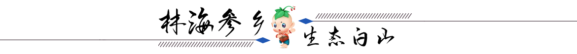 未标题-2.png